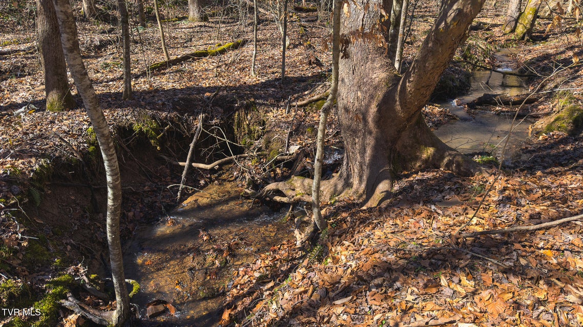 Photo #36: 100 Acres Sutton Hollow Road