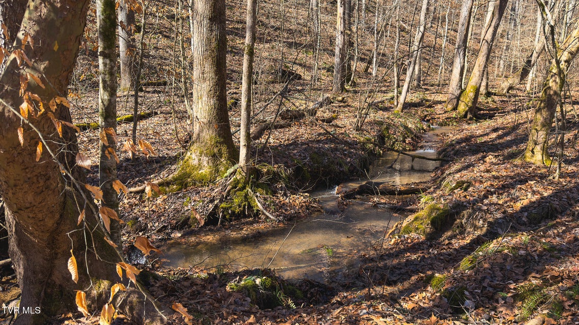 Photo #37: 100 Acres Sutton Hollow Road