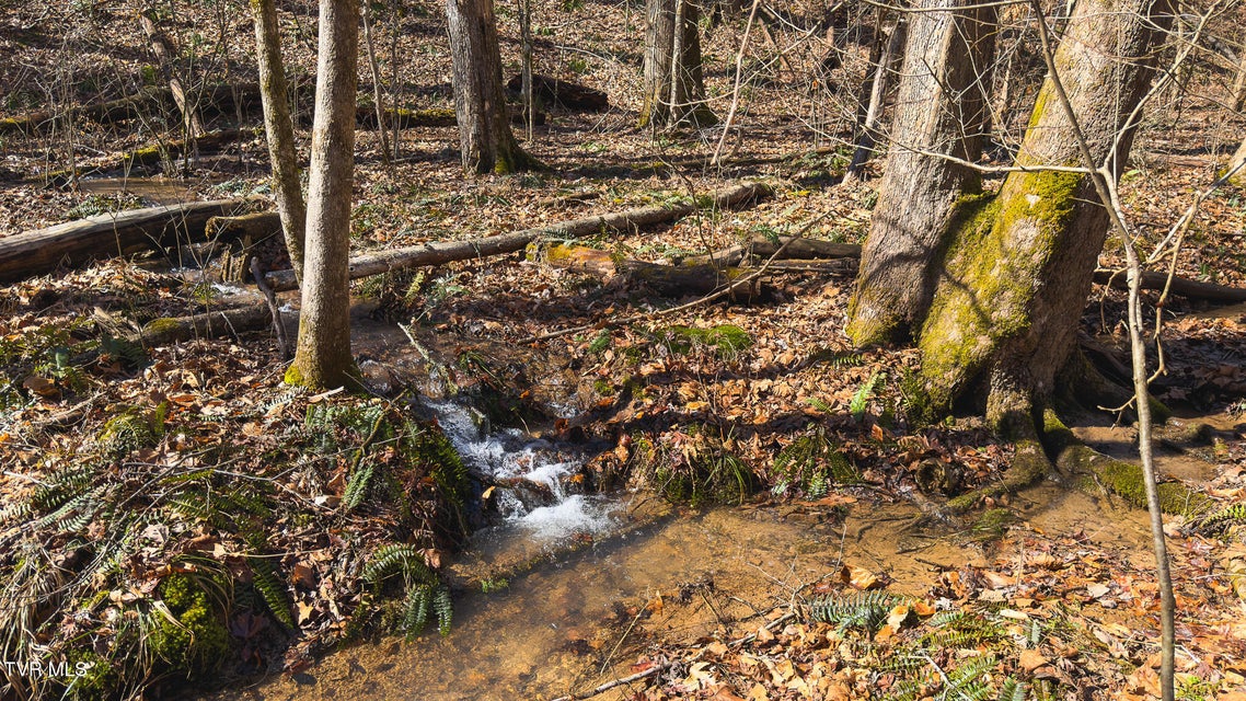 Photo #39: 100 Acres Sutton Hollow Road