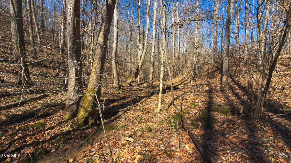 Photo #40: 100 Acres Sutton Hollow Road