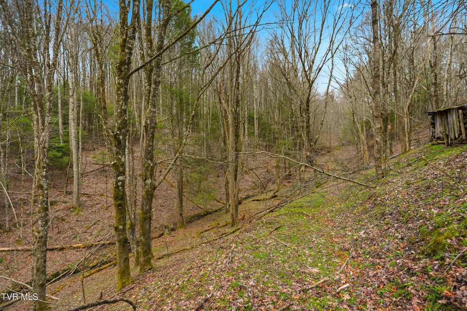 Photo #3: 138 Birch Lane