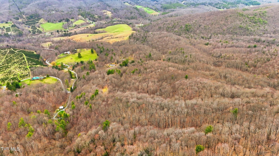 Photo #18: 138 Birch Lane