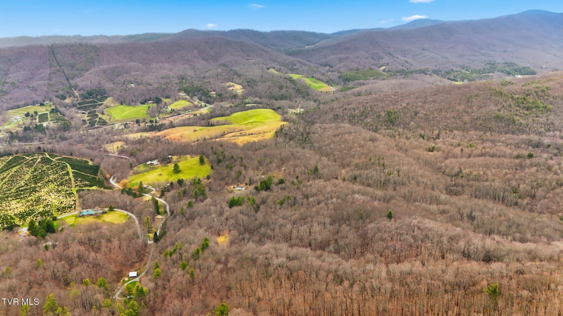 Photo #19: 138 Birch Lane