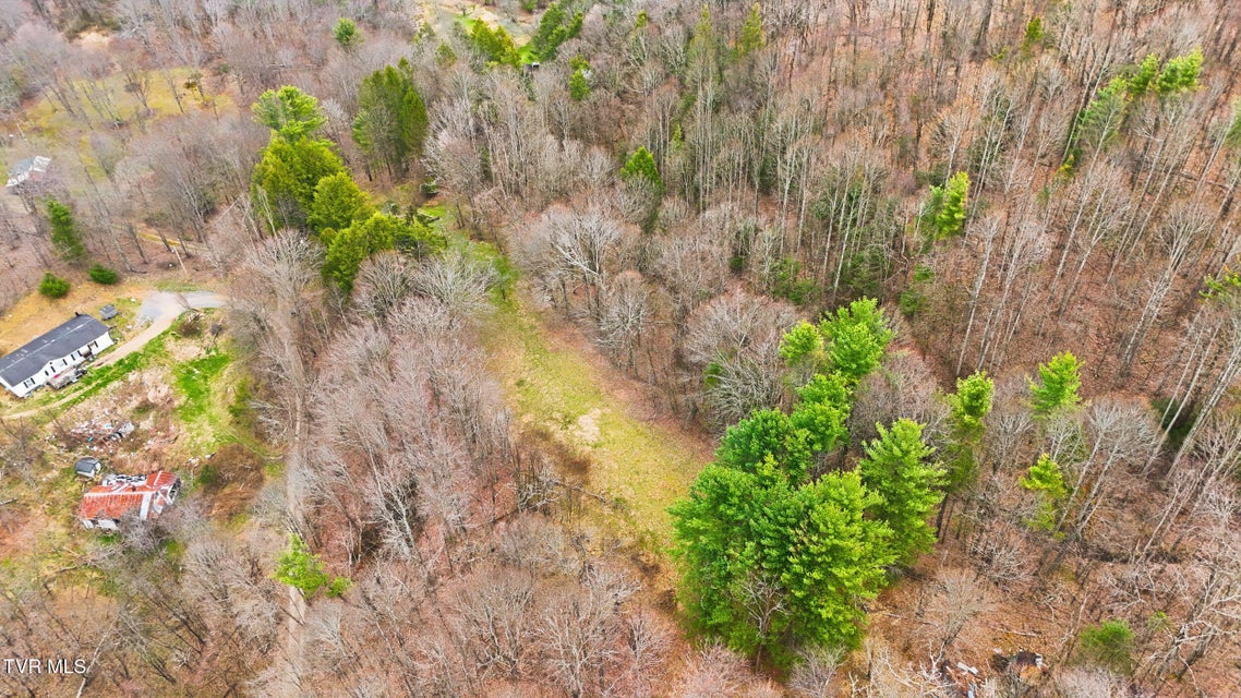 Photo #21: 138 Birch Lane