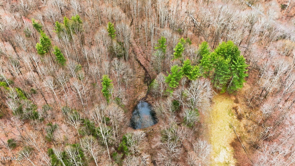 Photo #5: 138 Birch Lane