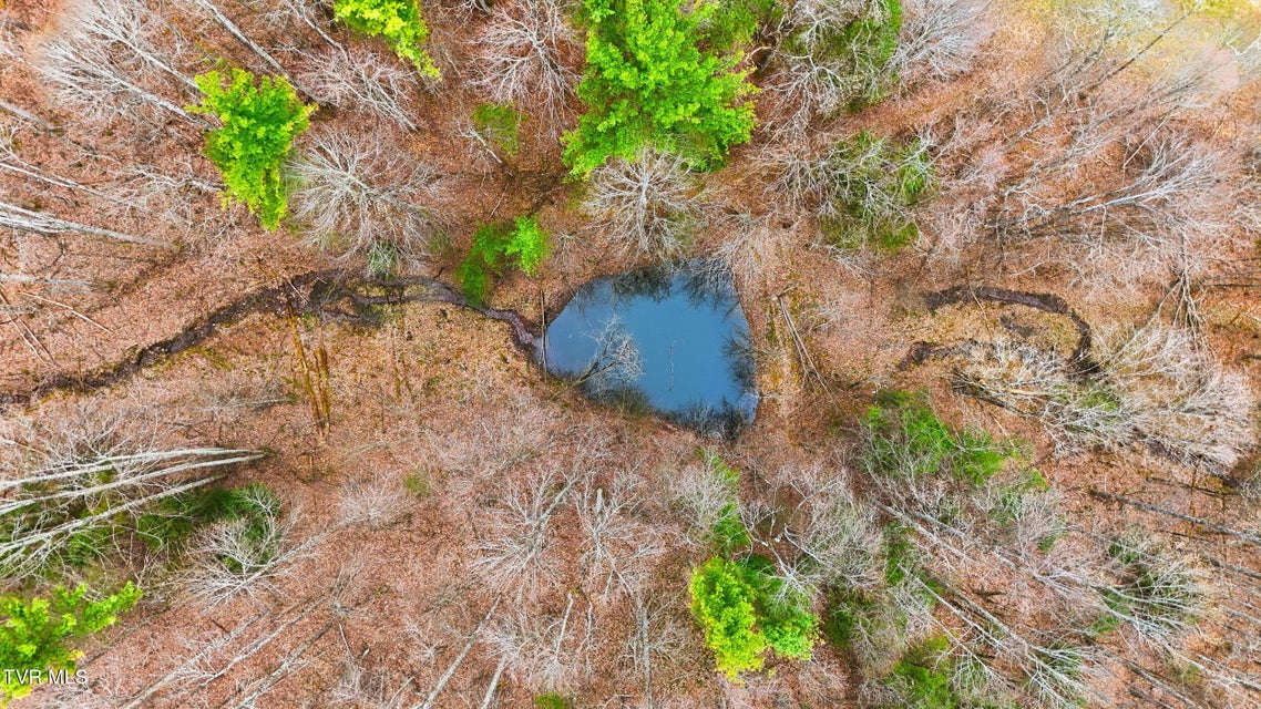 Photo #24: 138 Birch Lane