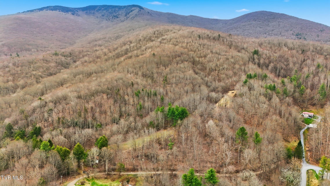 Photo #25: 138 Birch Lane