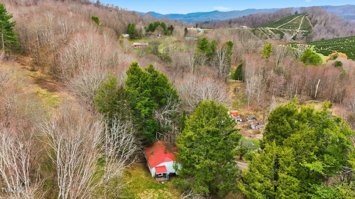 Photo #26: 138 Birch Lane