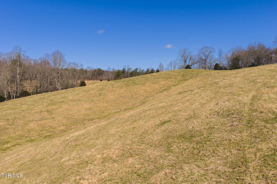 Photo #3: 50 Acres Sutton Hollow Road