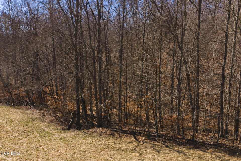 Photo #5: 50 Acres Sutton Hollow Road