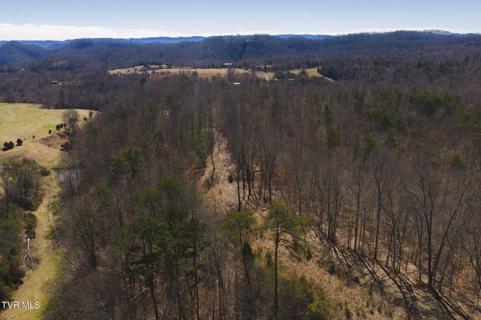 Photo #10: 50 Acres Sutton Hollow Road