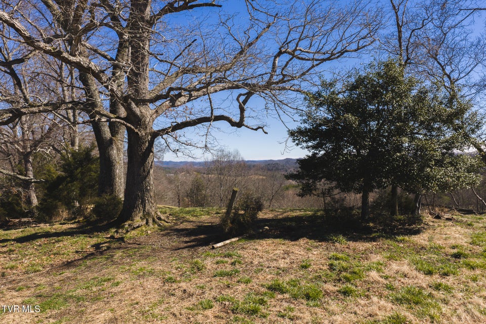 Photo #11: 50 Acres Sutton Hollow Road