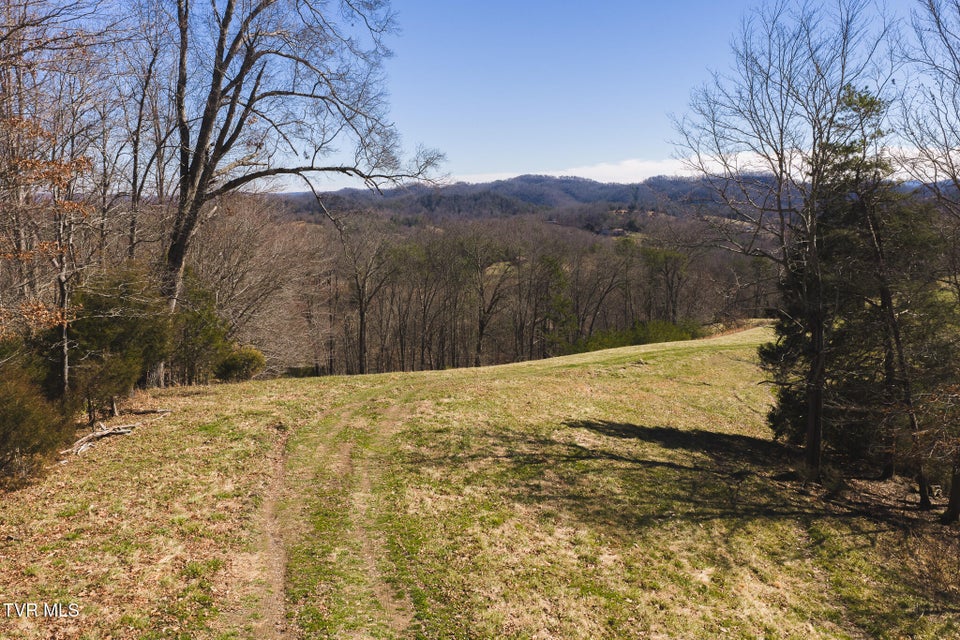 Photo #14: 50 Acres Sutton Hollow Road