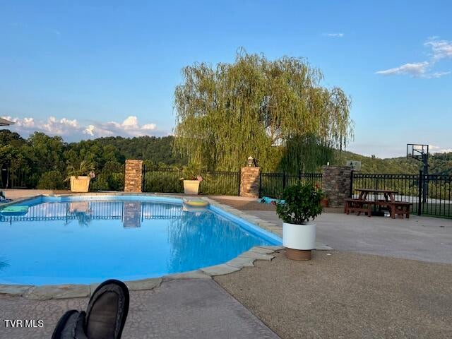 Photo #42: 1292 Pump Springs Road