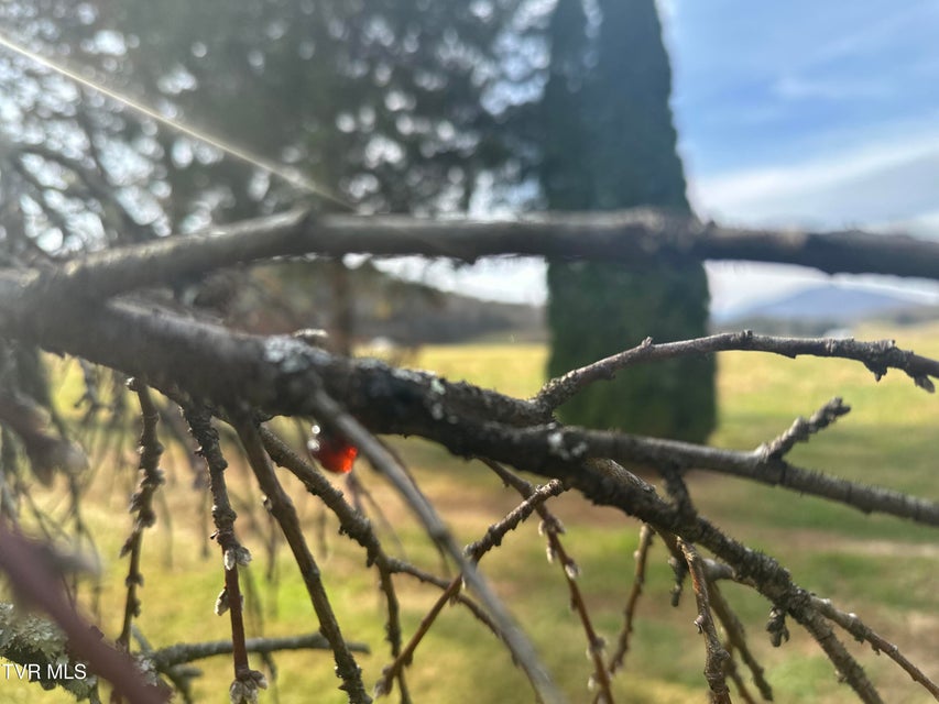 Photo #28: 3289 Long Creek Road