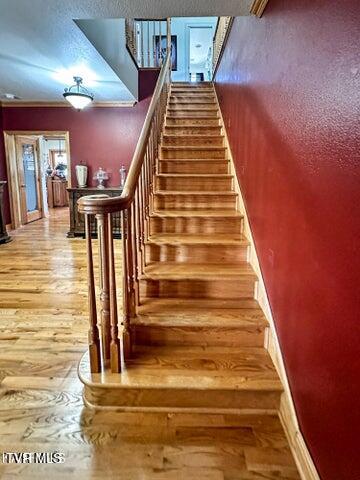 Photo #30: 1292 Pump Springs Road