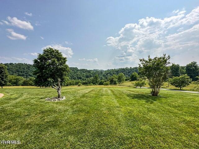 Photo #14: 1292 Pump Springs Road