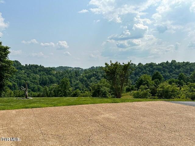 Photo #16: 1292 Pump Springs Road