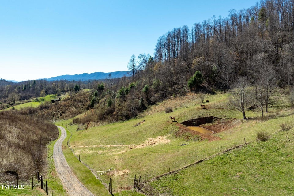 Photo #70: 533 Robinson Hollow Lane