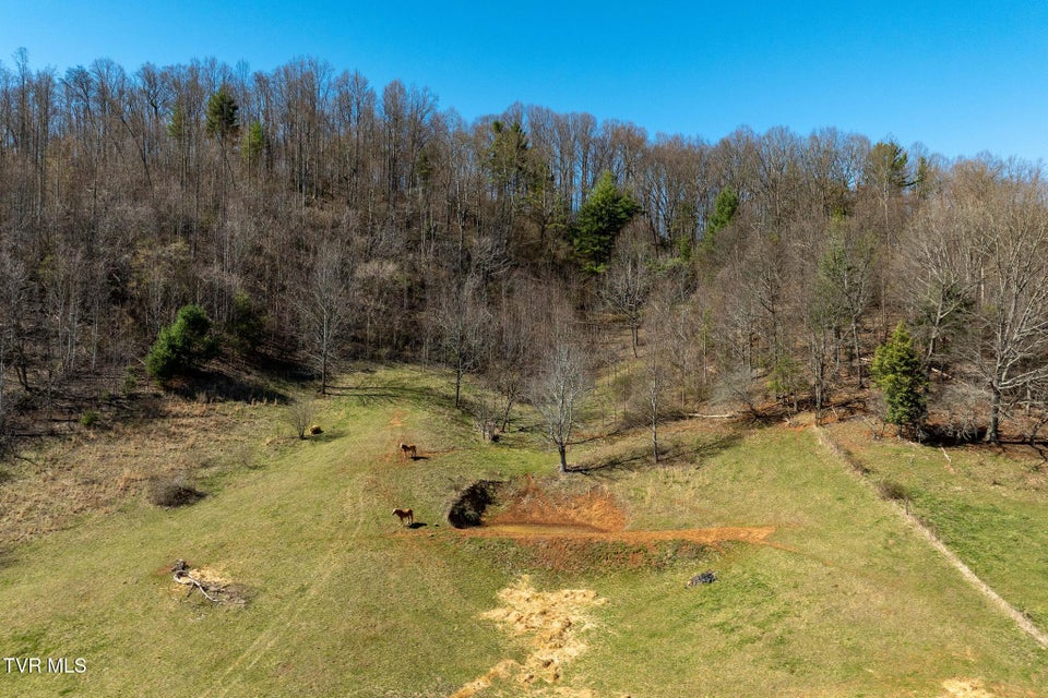 Photo #73: 533 Robinson Hollow Lane