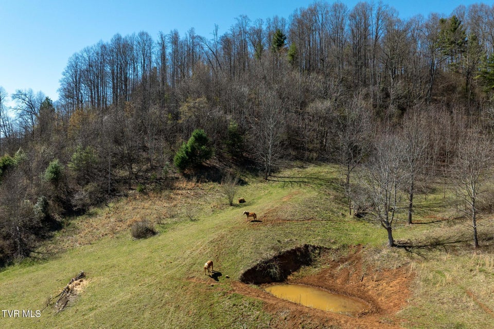 Photo #74: 533 Robinson Hollow Lane