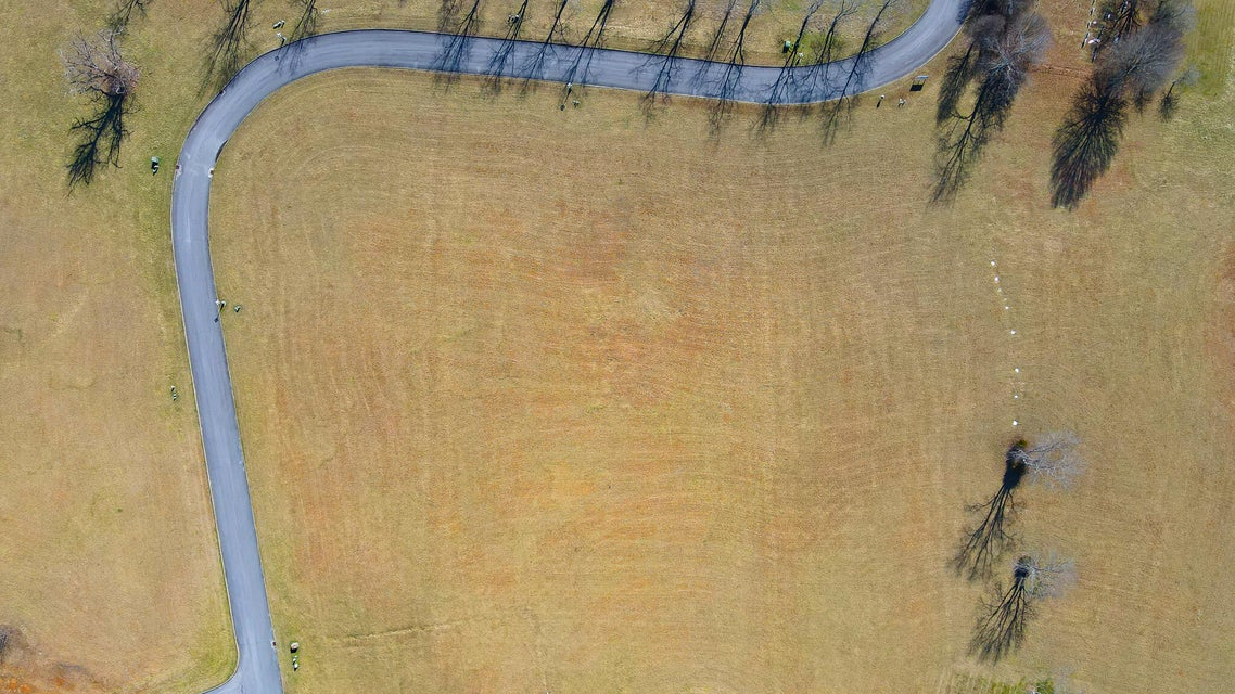 Photo #2: Lot 66 Walnut Tree Drive