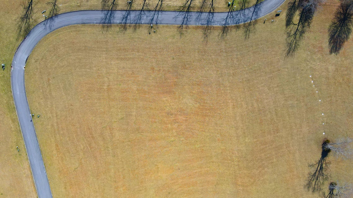 Photo #2: Lot 67 Walnut Tree Drive