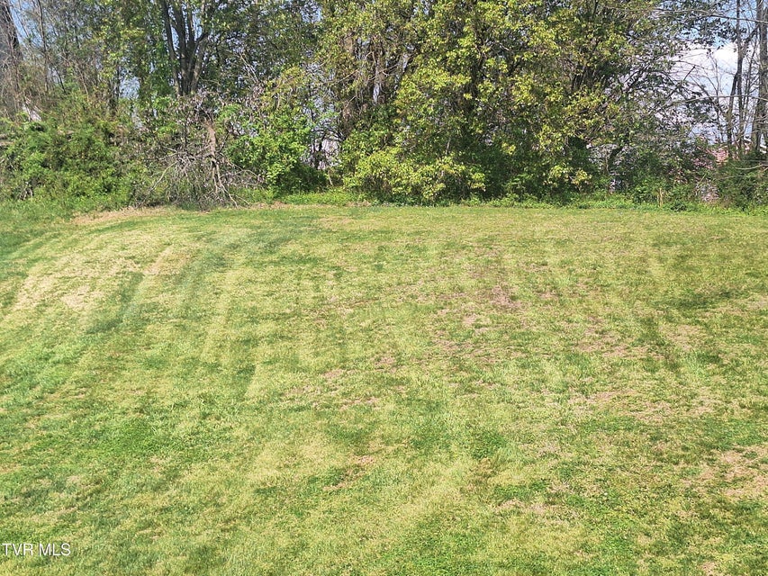 Photo #9: 916 Pine Grove Avenue