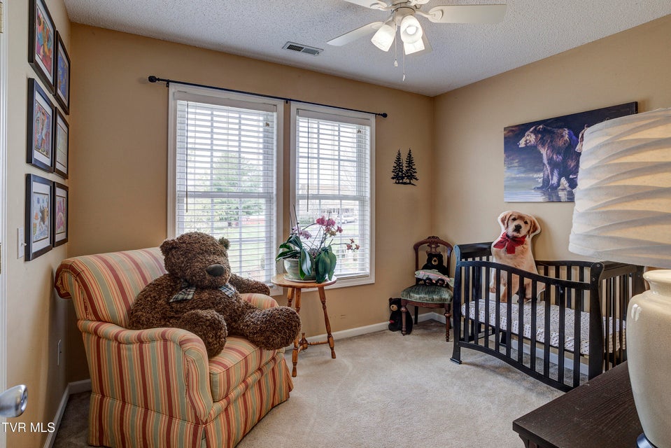 Photo #34: 1188 White Top Road