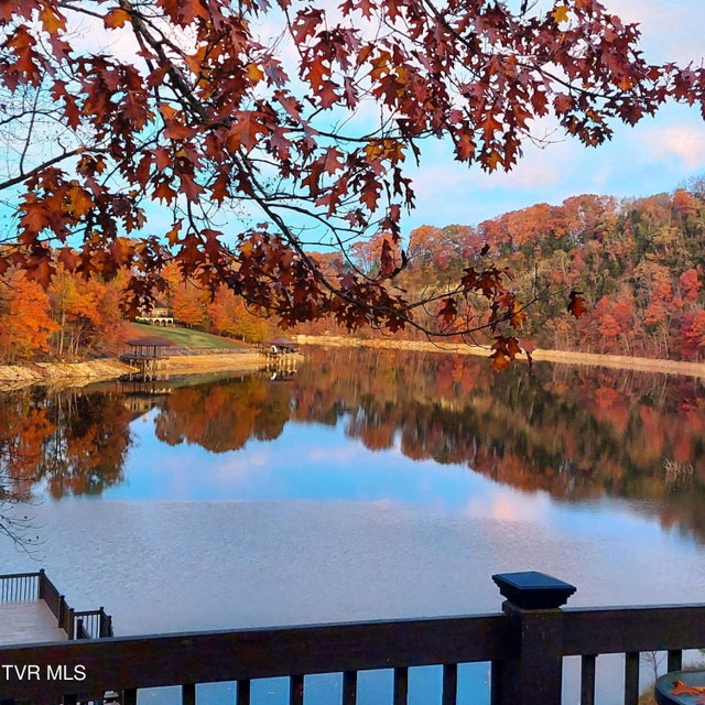 Photo #78: 487 Lakeshore Road