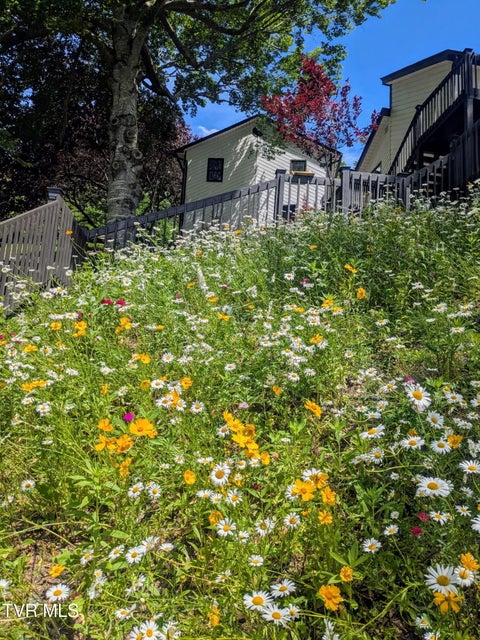 Photo #75: 487 Lakeshore Road