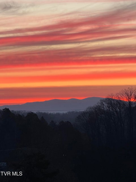Photo #49: 1195 Panoramic Vista