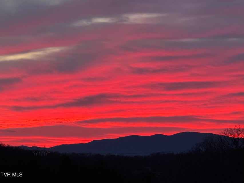 Photo #71: 1195 Panoramic Vista