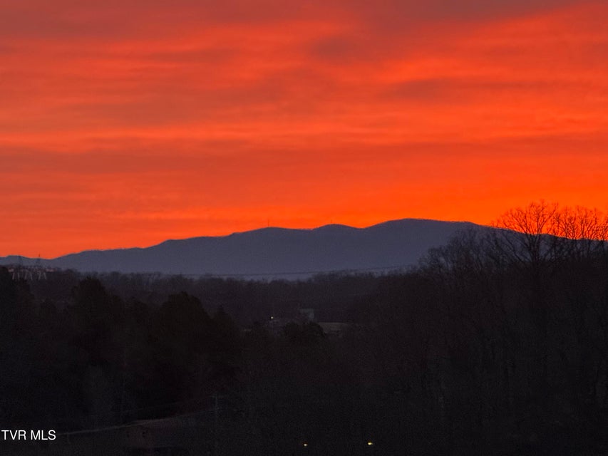 Photo #72: 1195 Panoramic Vista