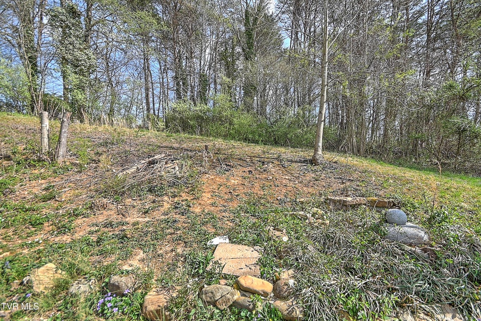 Photo #36: 211 Sunny Hill Court