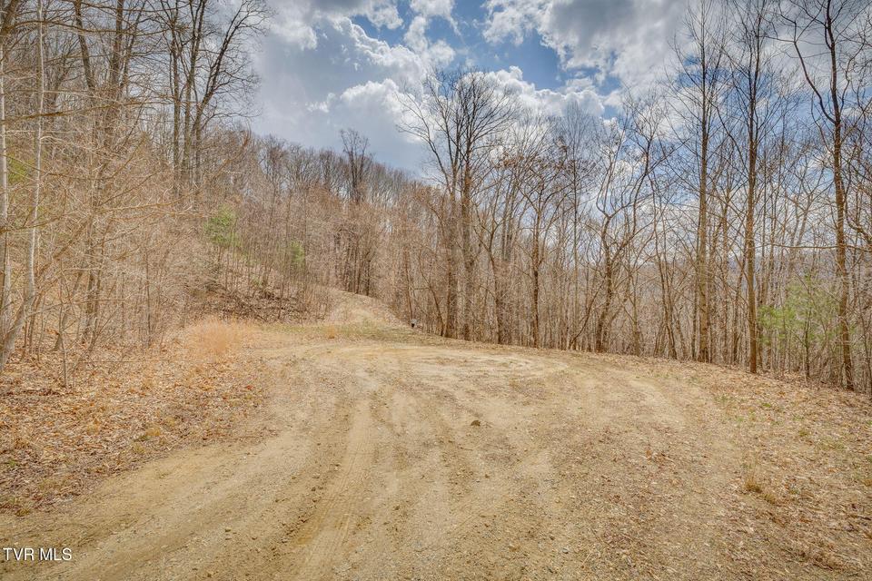 Photo #8: 614 Tulip Poplar Trail