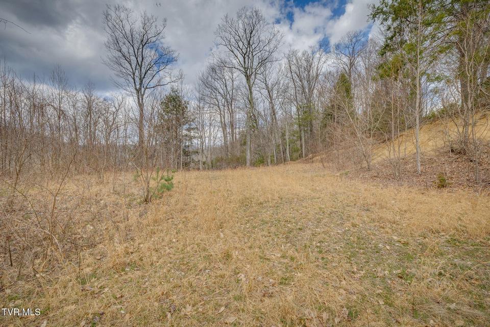 Photo #5: 614 Tulip Poplar Trail