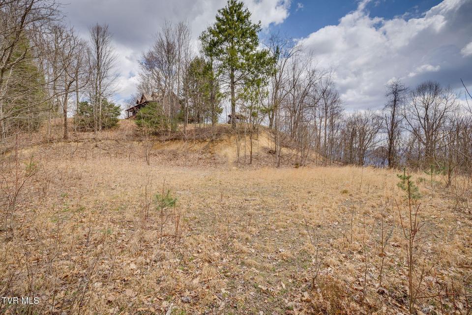 Photo #9: 614 Tulip Poplar Trail