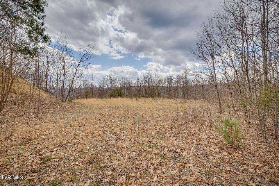 Photo #6: 614 Tulip Poplar Trail
