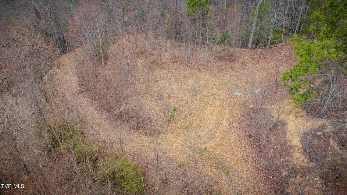 Photo #7: 614 Tulip Poplar Trail