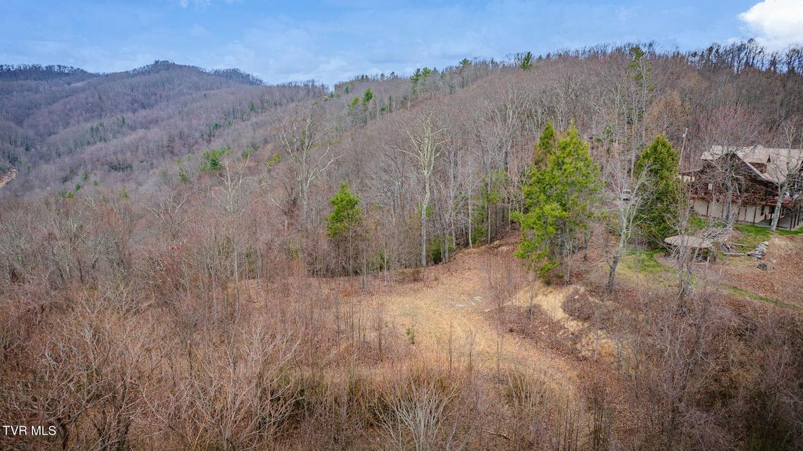 Photo #10: 614 Tulip Poplar Trail