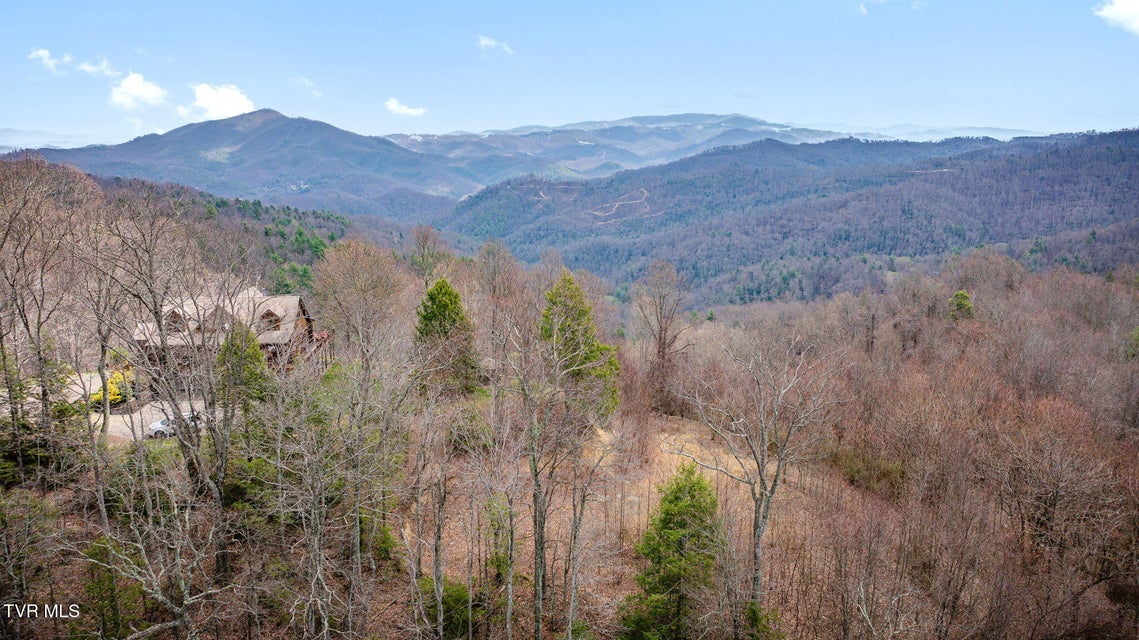 Photo #11: 614 Tulip Poplar Trail