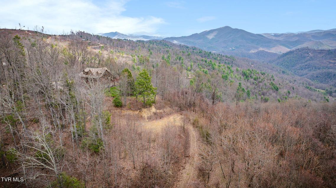 Photo #12: 614 Tulip Poplar Trail