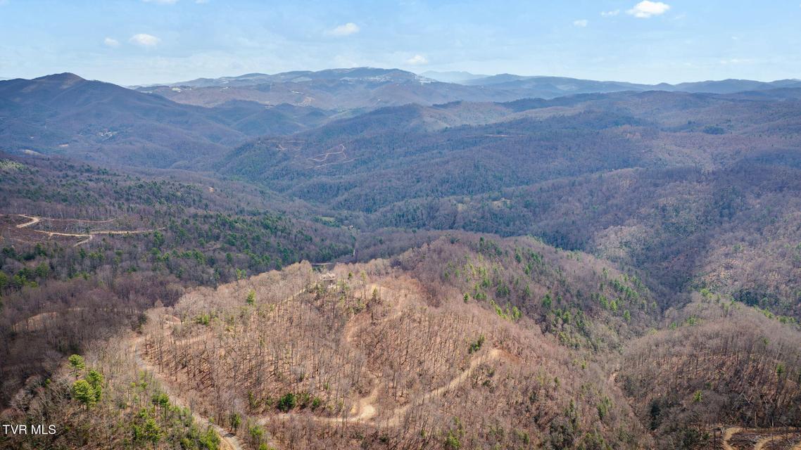 Photo #13: 614 Tulip Poplar Trail