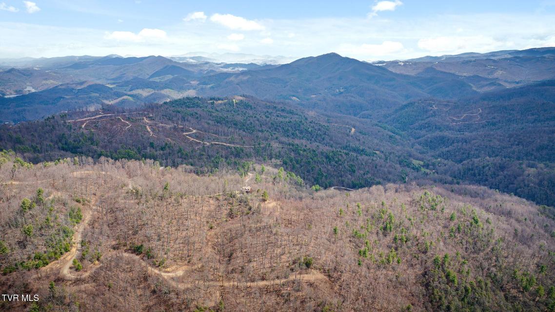 Photo #14: 614 Tulip Poplar Trail
