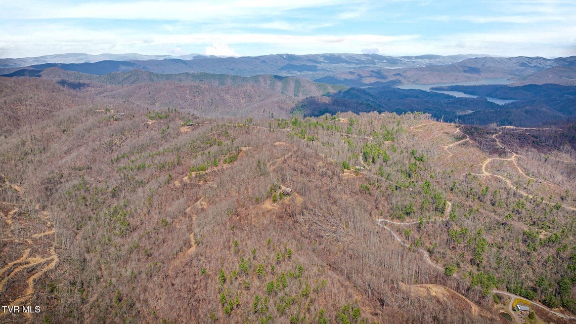 Photo #3: 614 Tulip Poplar Trail