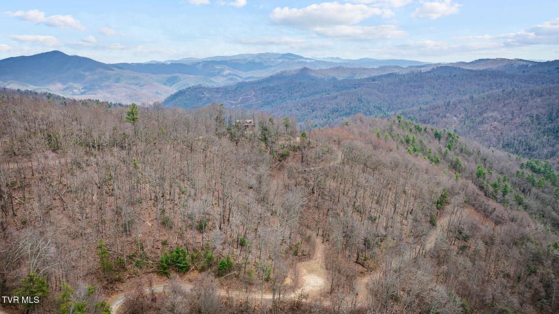 Photo #16: 614 Tulip Poplar Trail