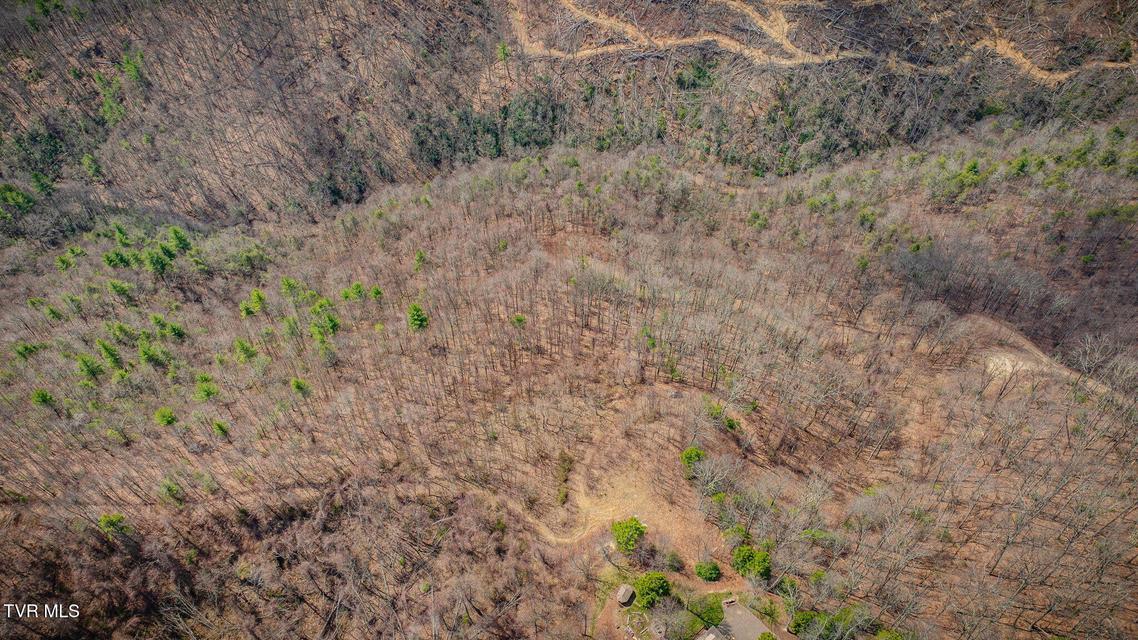 Photo #20: 614 Tulip Poplar Trail