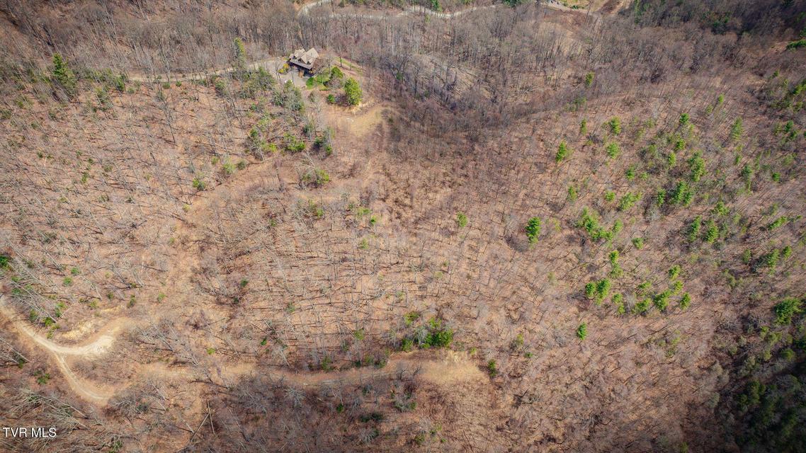 Photo #19: 614 Tulip Poplar Trail
