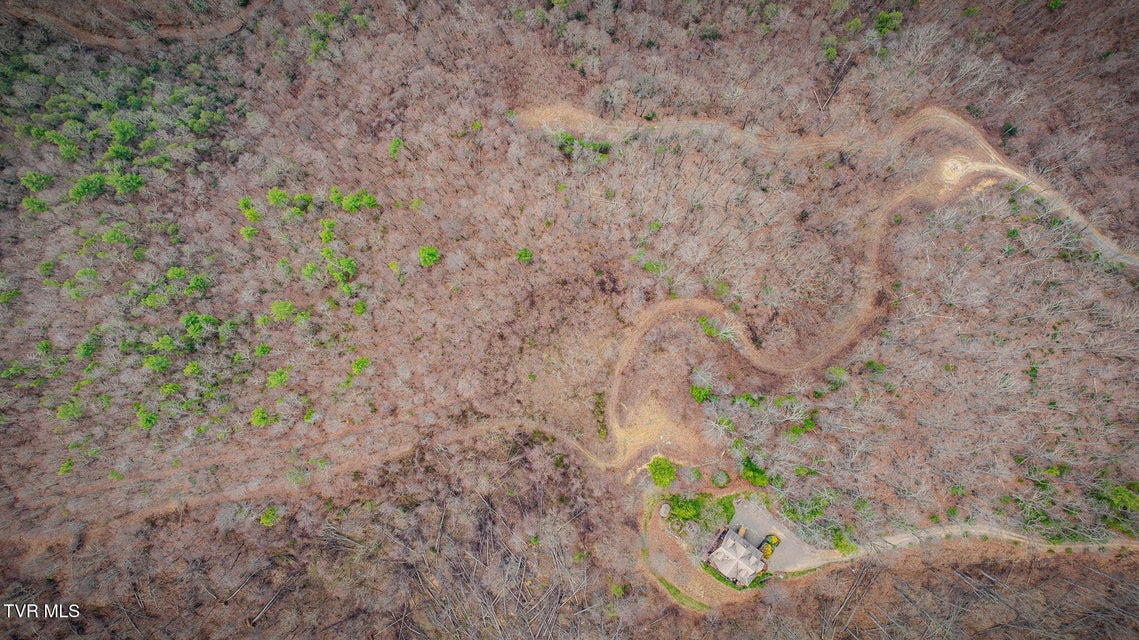 Photo #18: 614 Tulip Poplar Trail